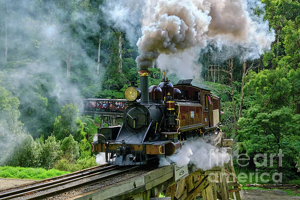 Neil Maclachlan - Puffing Billy