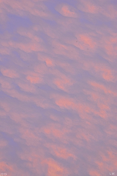 Lisa Wooten - Puffy Pink Sky Vertical
