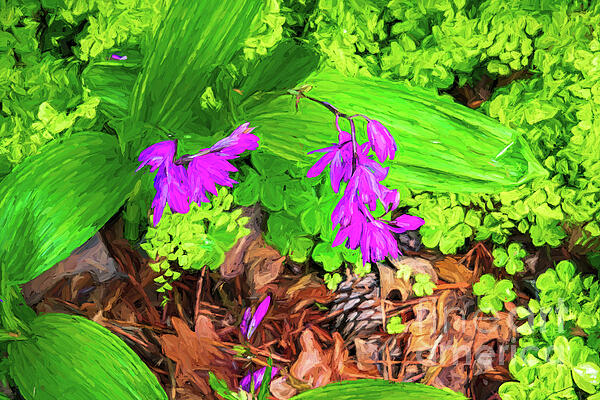 Diana Mary Sharpton - Purple Bell Flowers. Clover and Fallen Leaves