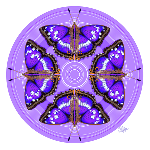 Tim Phelps - Purple Emperor Butterfly Puddle Mandala