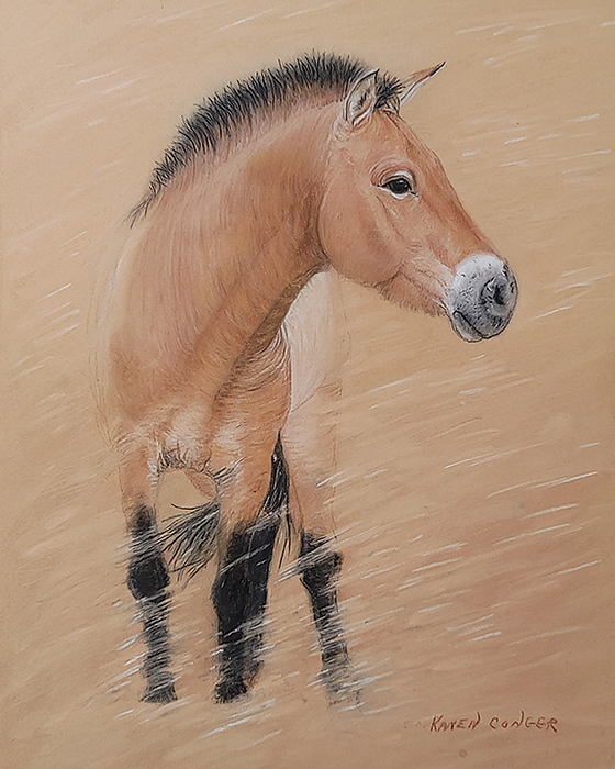 Karen Conger - Pzrewalski Horse Faces the Storm - Pastel Painting
