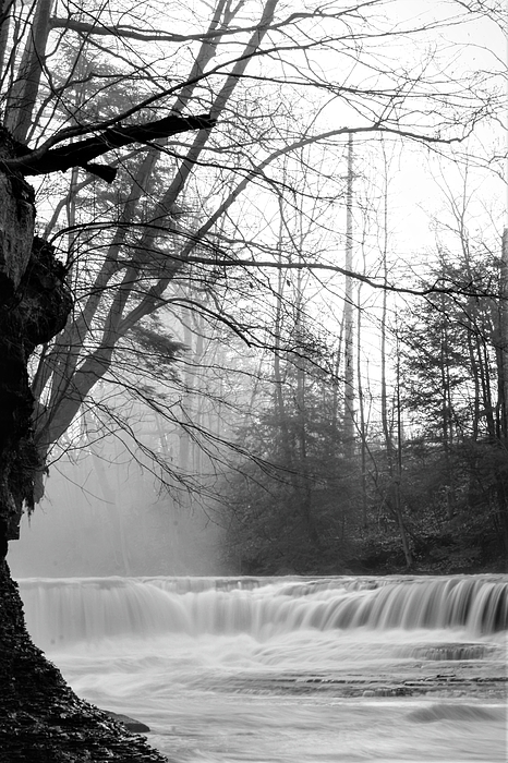 Winter Photographs
