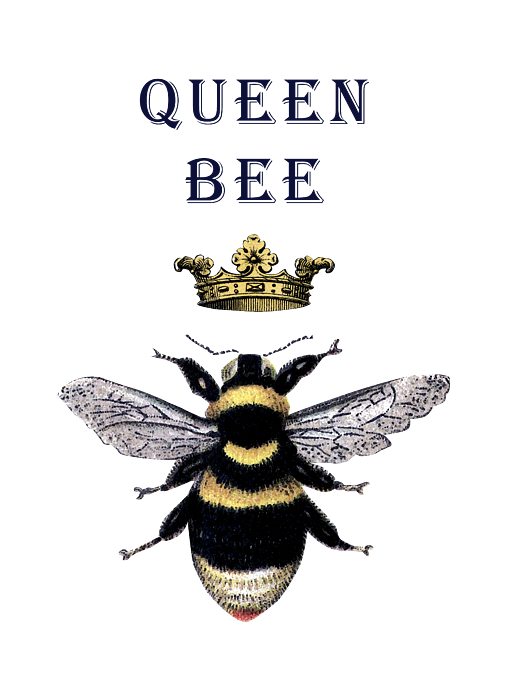 Queen Bee Art Drawing - Drawing Skill