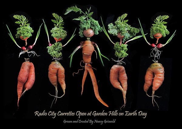 Nancy Griswold - Radio City Carrettes Open at Garden Hills on Earth Day