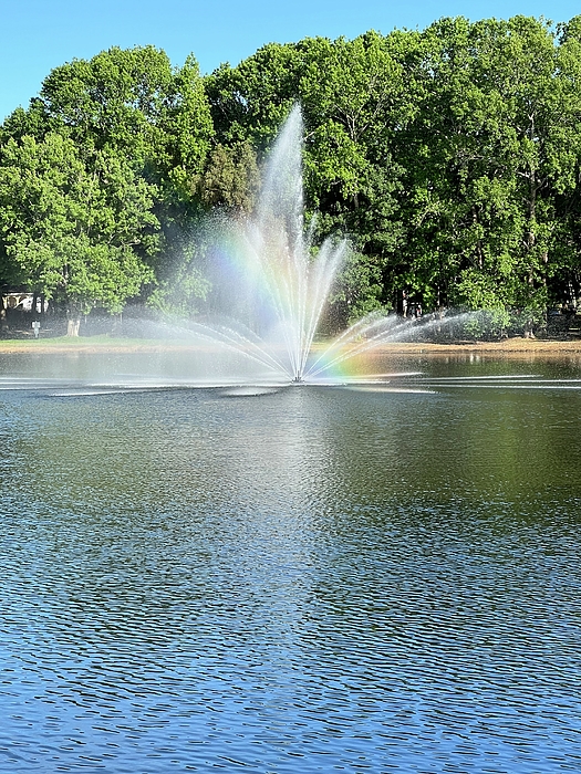 Lake Art