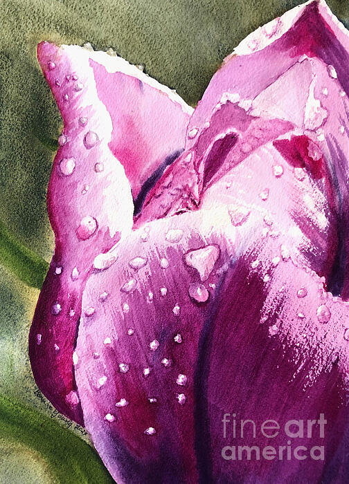 Bonnie Young - Rainy Day Tulip