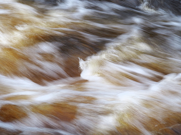Tom Halseth - Rapids on the Temperance River