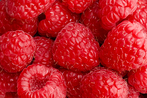 Joe Vella - Raspberries