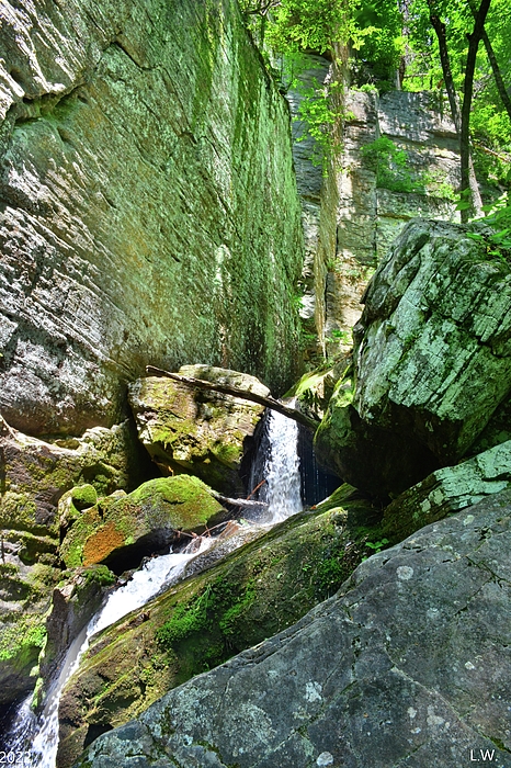 Lisa Wooten - Raven Cliff Waterfall Among The Boulders