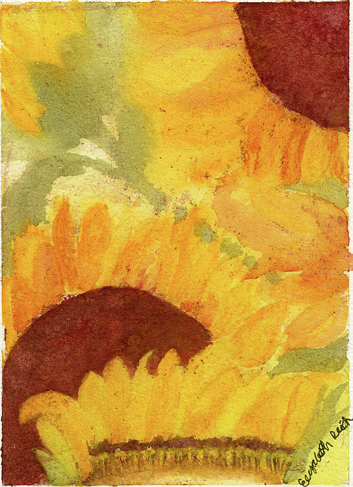 Elizabeth Reich - Rays of Sunshine, Sunflower Watercolor Botanical Art