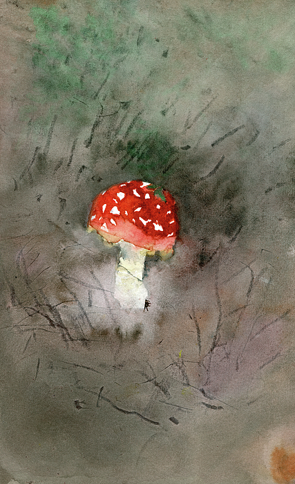 Elizabeth Reich - Red Amanita Muscaria Mushroom