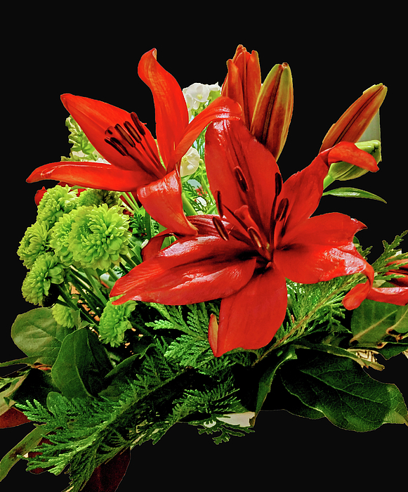 Marian Bell - Red Asiatic Lilies