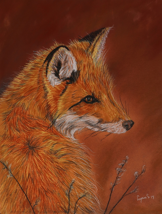 Dreamz - - RED FOX 1300 pastels