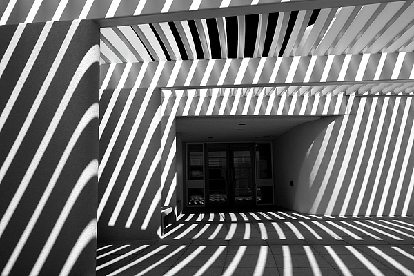 Douglas Taylor - Red Hills Bars And Stripes In Monochrome