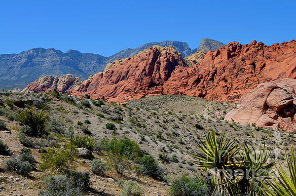 Mary Deal - Red Rock Canyon - 2