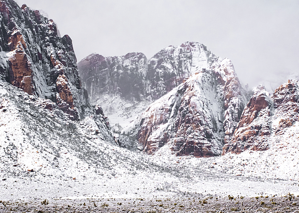Tori M Bird - Red Rock Covered In Snow