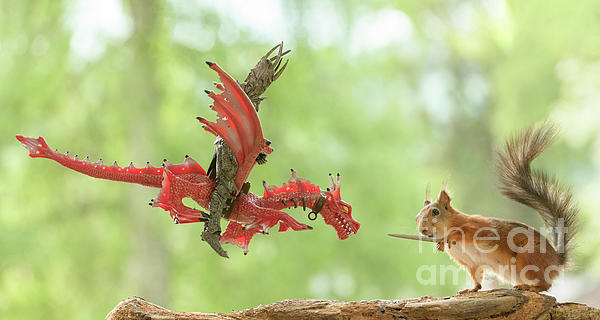 Geert Weggen - Red Squirrel With A Sword Standing With Dragon And Black Rider