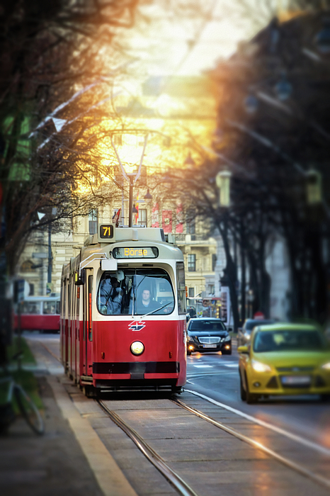 Carol Japp - Red Streetcar Vienna Austria 