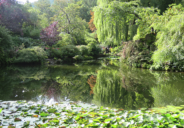Brooks Garten Hauschild - Reflecting Pool - Autumn in Butchart Gardens Victoria BC - Nature Photography and Art