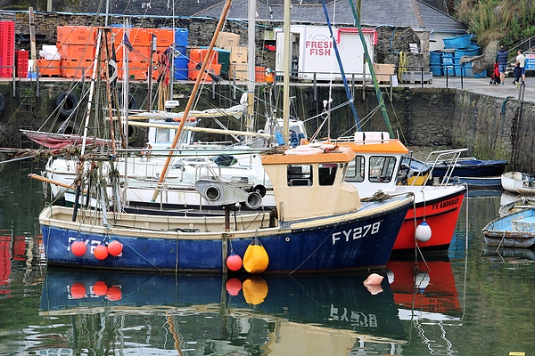 Premium Photo  Tranquil Lake Scene Fishing Boat Amidst