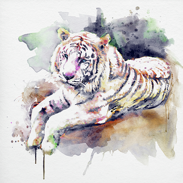 Marian Voicu - Resting and Alert Blue Eyed White Tiger