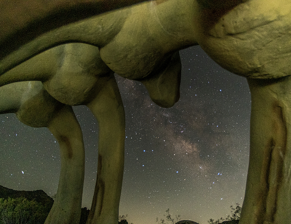 Nightscape Art