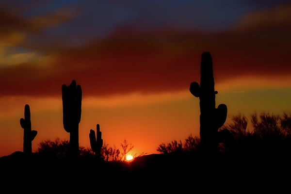 Arizona Art