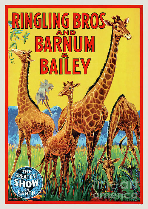 Vintage Treasure - Ringling Bros and Barnum and Bailey USA Vintage Poster