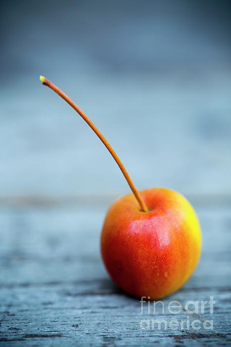 Organic Fresh crab apples