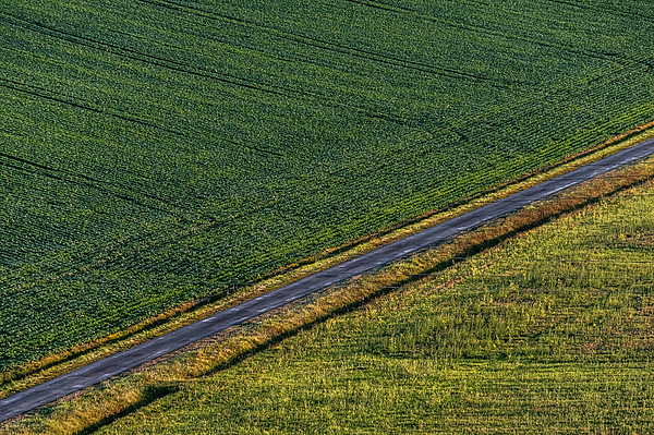 Stuart Litoff - Road Through the Farmland - France
