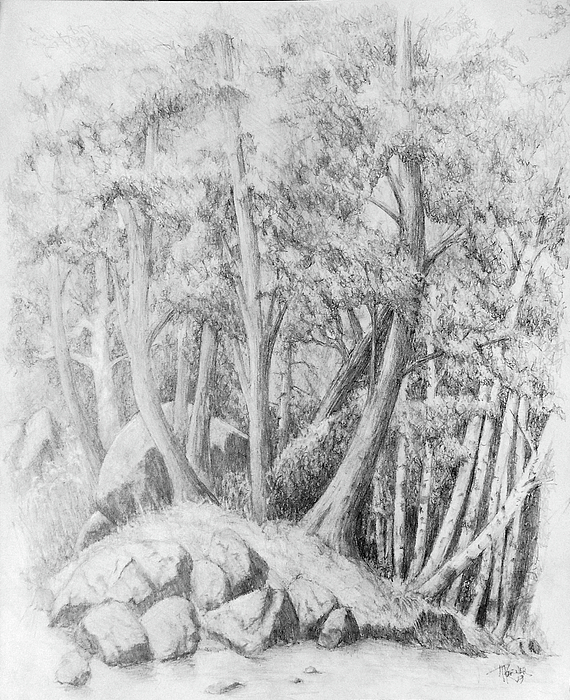 Shading Art