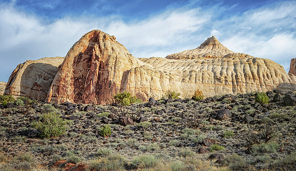 Joan Carroll - Rock Formations in Capitol Reef National Park Utah