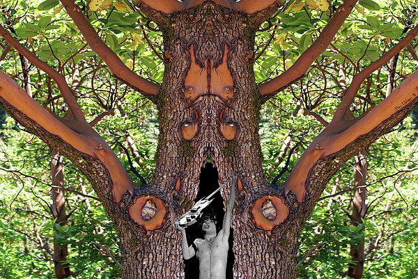 Tree Art