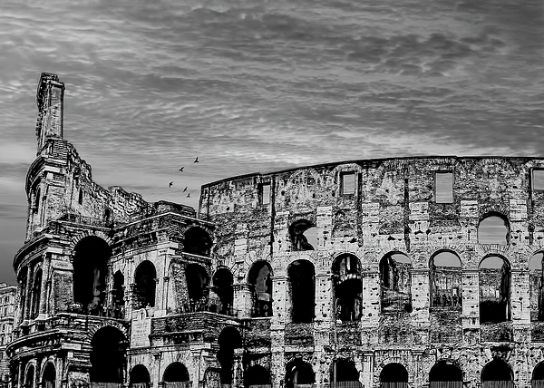 Elena Francis - Roman Colosseum