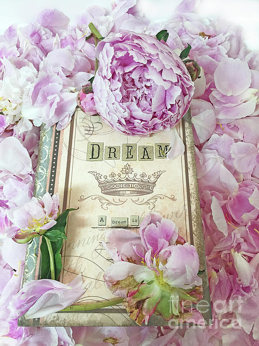 Romantic Shabby Chic Cottage Peony Flowers Dream Diary Floral Wall