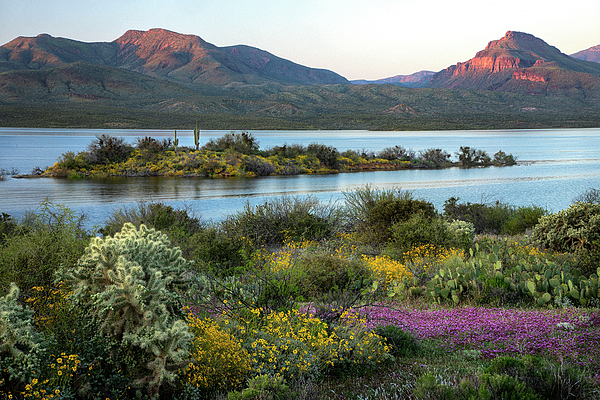 Dave Dilli - Roosevelt Lake at Sunset in the Springtime