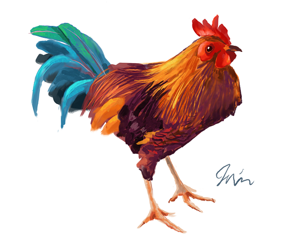 Chicken Clipart-rooster with blue feathers