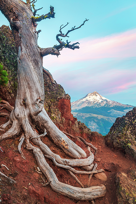 Mountain Art