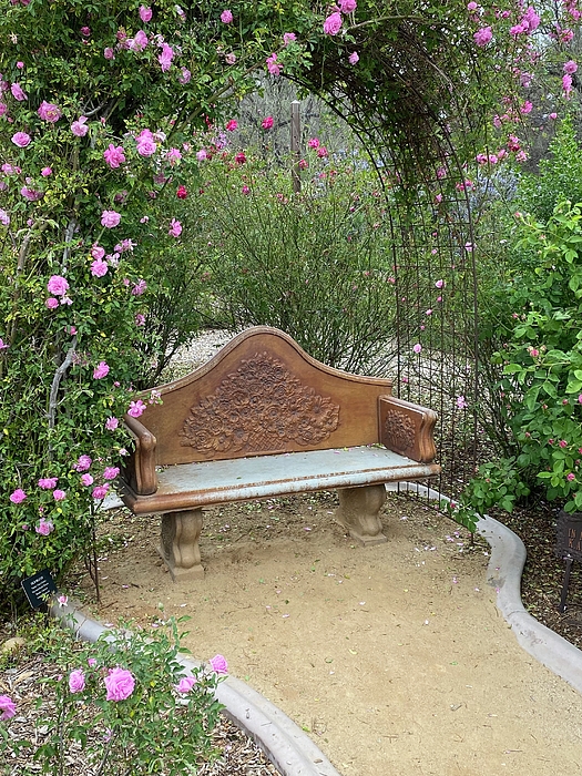 Marilyn Borne - Rose Garden Arbor Bench
