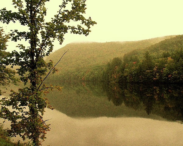 Lake Art