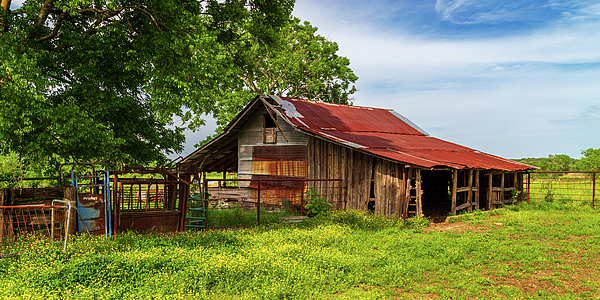 James Eddy - Rugged Old Barn In East Texas