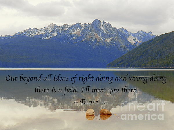 Rumi Out Beyond Ideas Of Wrongdoing And Rightdoing Rumi Quotes Art Print Jigsaw Puzzle By Art Sandi Fine Art America