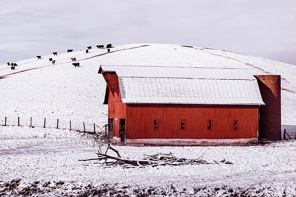 Jim Love - Rural Winter