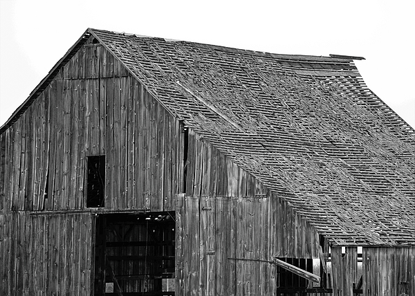 Rustic Art