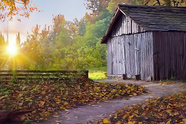 Rustic Art