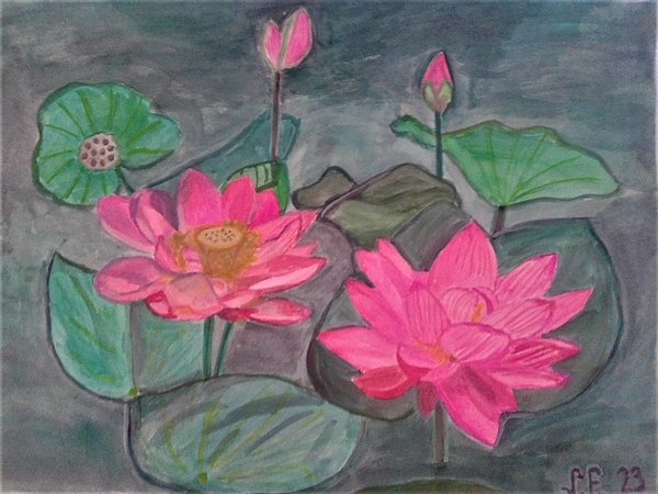 Marine B Rosemary - Sacred Lotus 