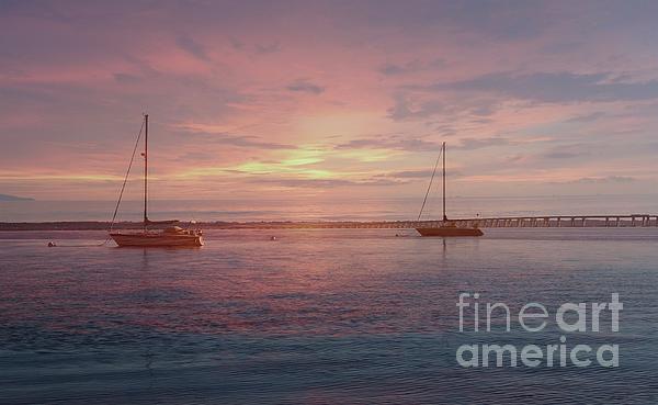 Luther Fine Art - Sail Boats at Rest