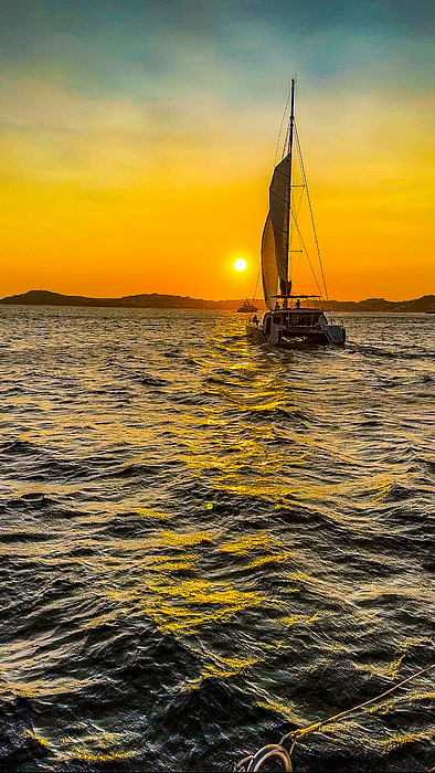 Sunset Art
