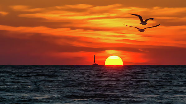 Michael Smith - Sailing And Soaring Into The Sunset