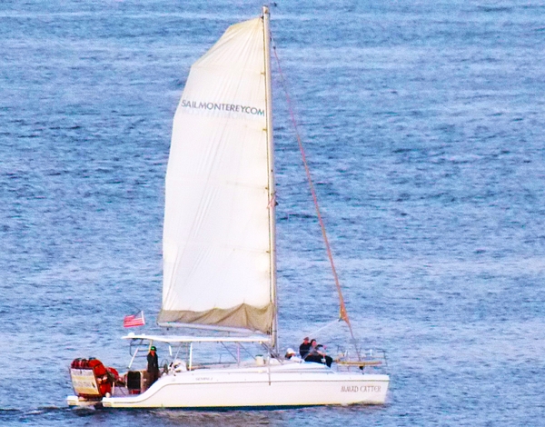 Troy Wilson-Ripsom - Sailing on Monterey Bay